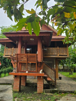 Sunny family garden house